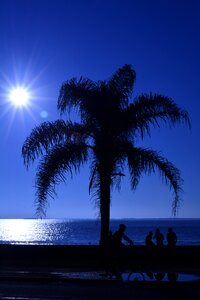 Sunshine beautiful nature