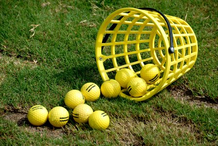 Driving range ball golf