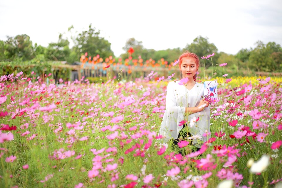 Flowers vega nature