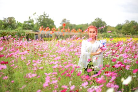 Flowers vega nature