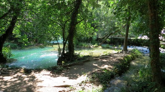 Beautiful view summer