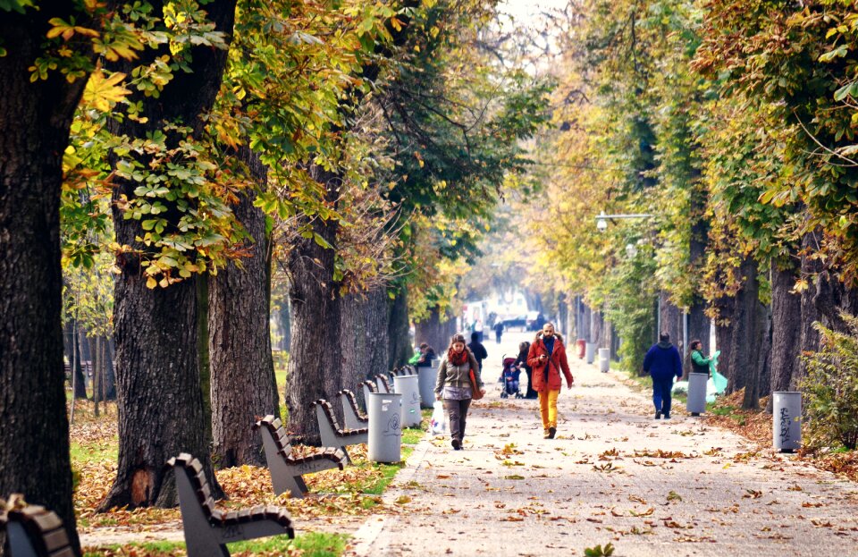 Bench people walking