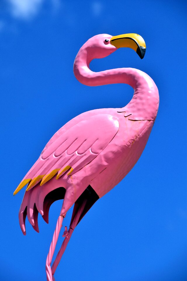 Sheet sheet metal flamingo sheet metal figure