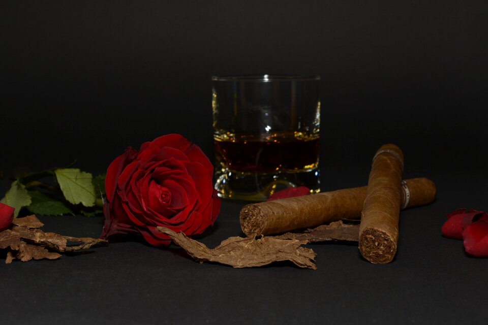Tobacco leaves whiskey glass whisky