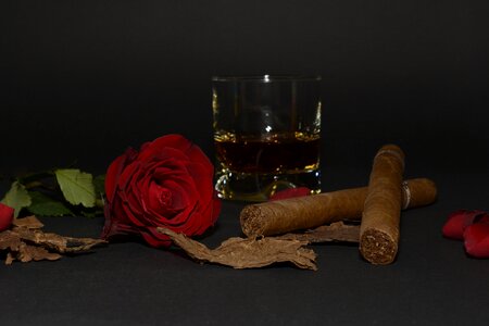 Tobacco leaves whiskey glass whisky photo