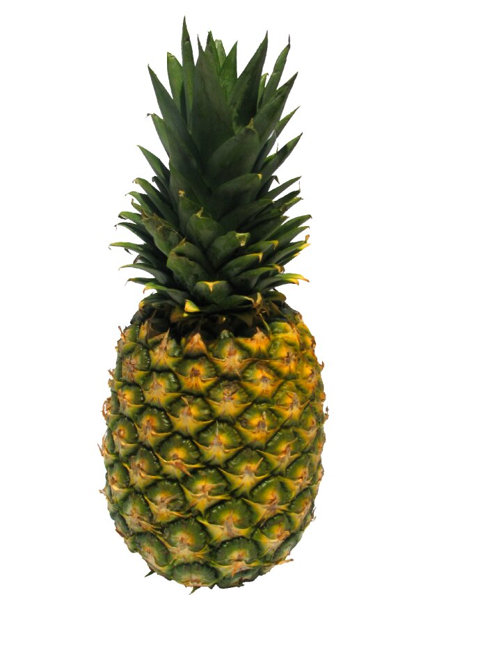 Fruit pineapple ganz