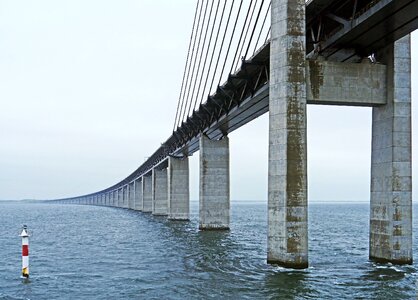 Denmark cable-stayed bridge high bridge photo