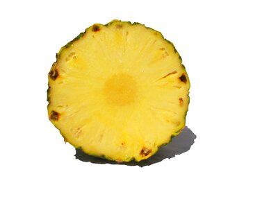 Fruit pineapple cross section