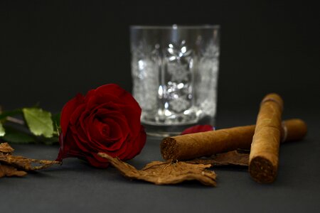 Tobacco leaves crystal glass whiskey glass photo