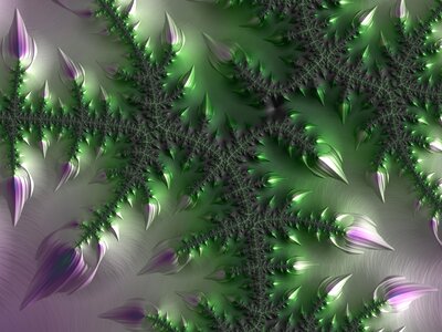 Flowing fractal leaf photo