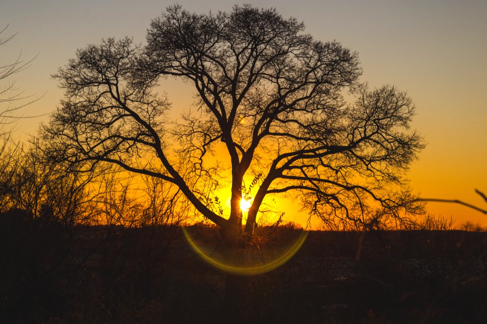 Atlanta, United states, Silhoutte