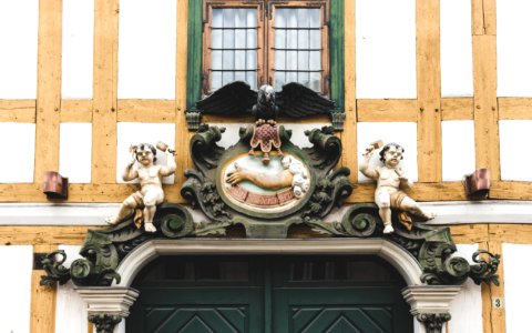 Raven, Historic, Old