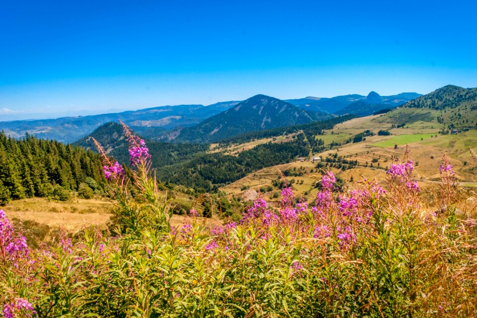 Auvergne high-loire quiet