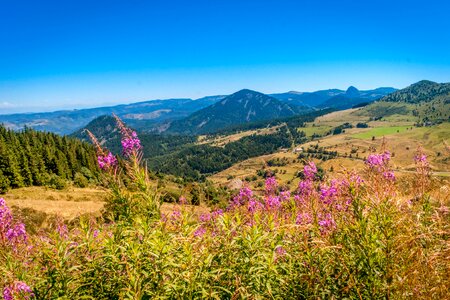 Auvergne high-loire quiet