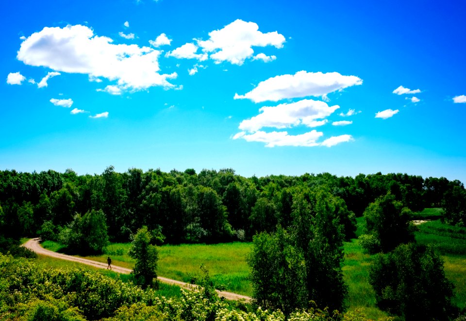 Green, Alone, Lonesome