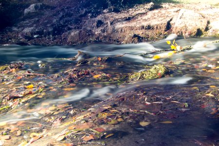 Vouill, France, Fall