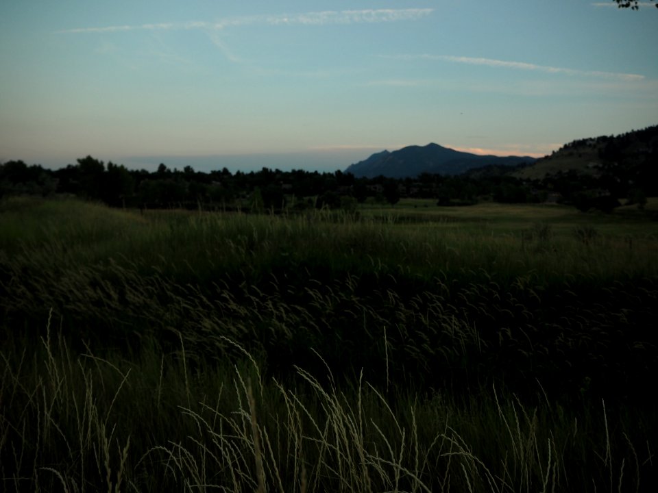 Hills, Grasses, Nature