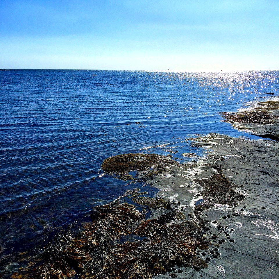 Blue, Water, Peace