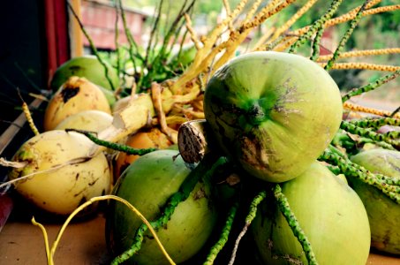 Jamaica, Eville, Coconuts