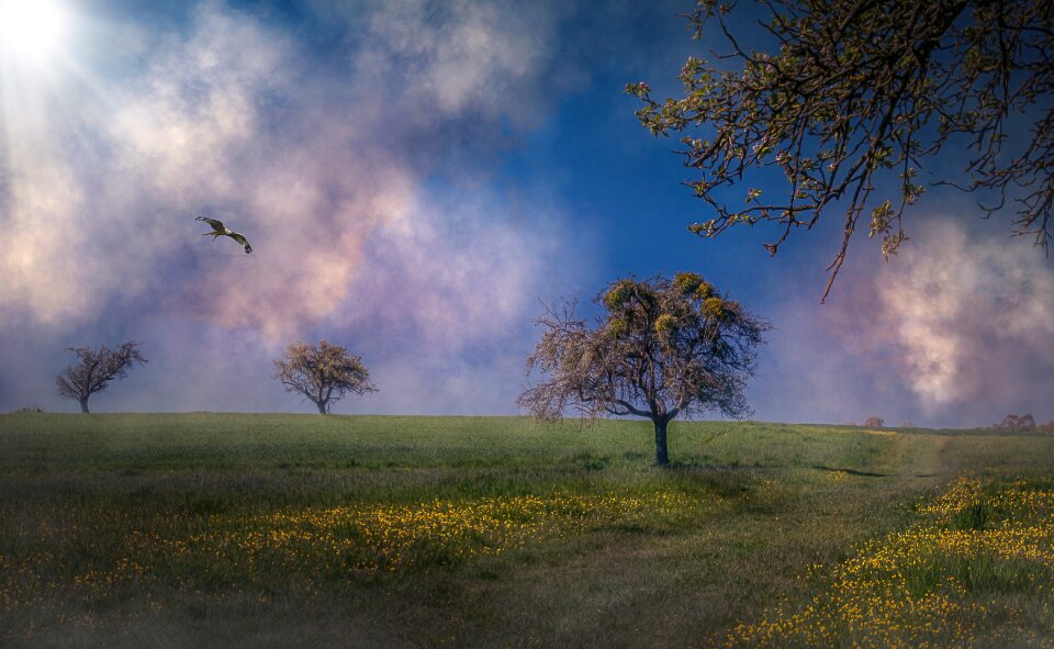 Skies mood romantic