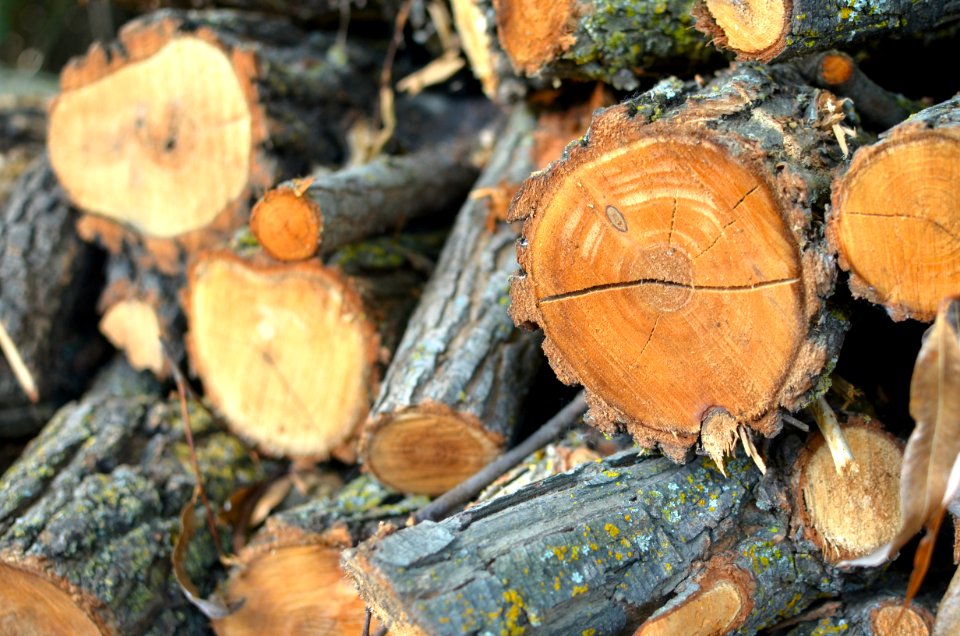 Lincoln, United states, Wood