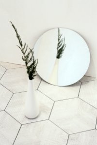 Mirror, Plant, Reflection