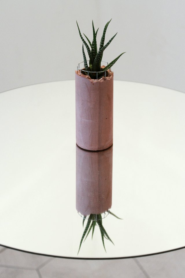 green plant on brown clay pot