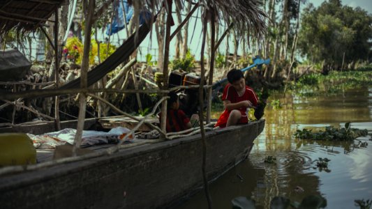 Ng thp province, Vietnam, Nature