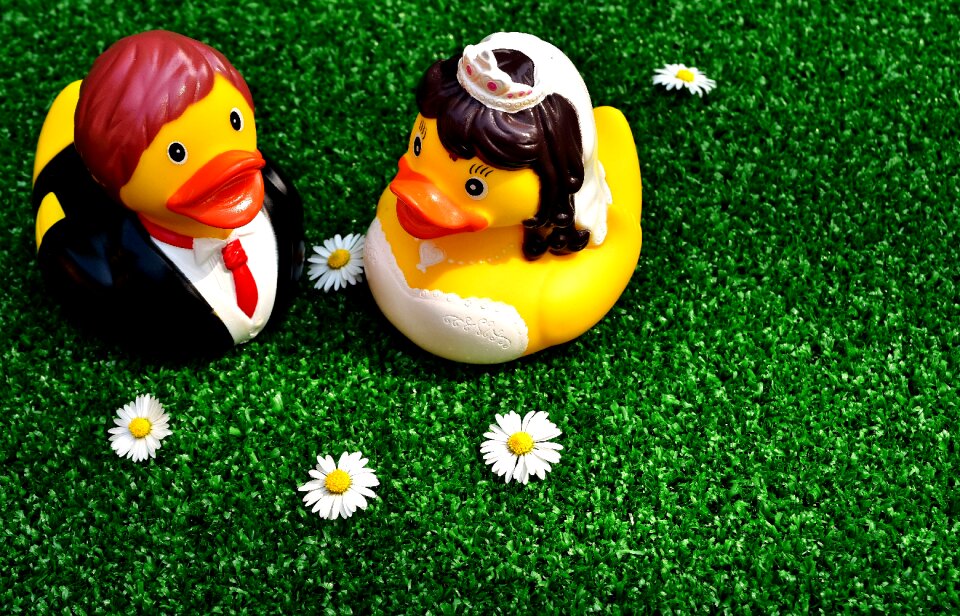 Funny marry marriage