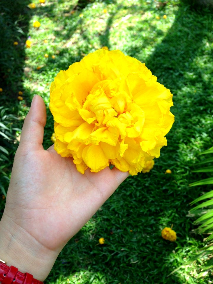 Ramkhamhaeng university, Bangkok, Thail