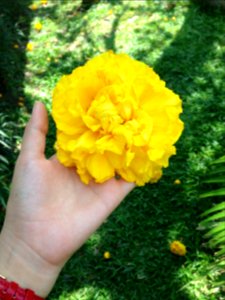Ramkhamhaeng university, Bangkok, Thail