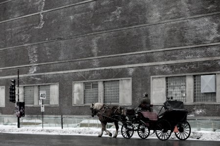 man riding carriage with horse near building photo