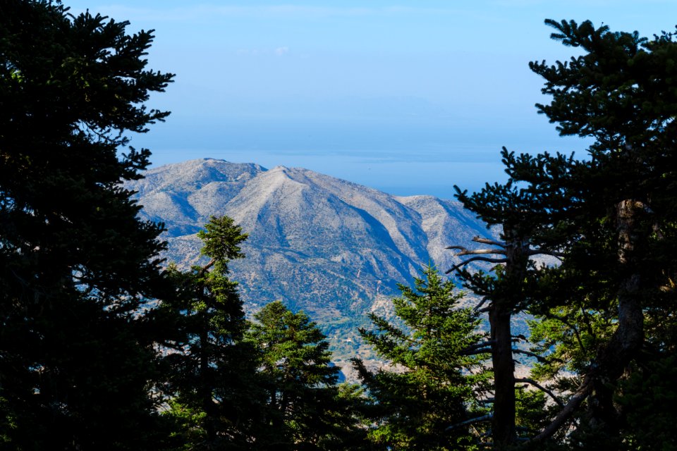 Greece, Mount ainos, Trees