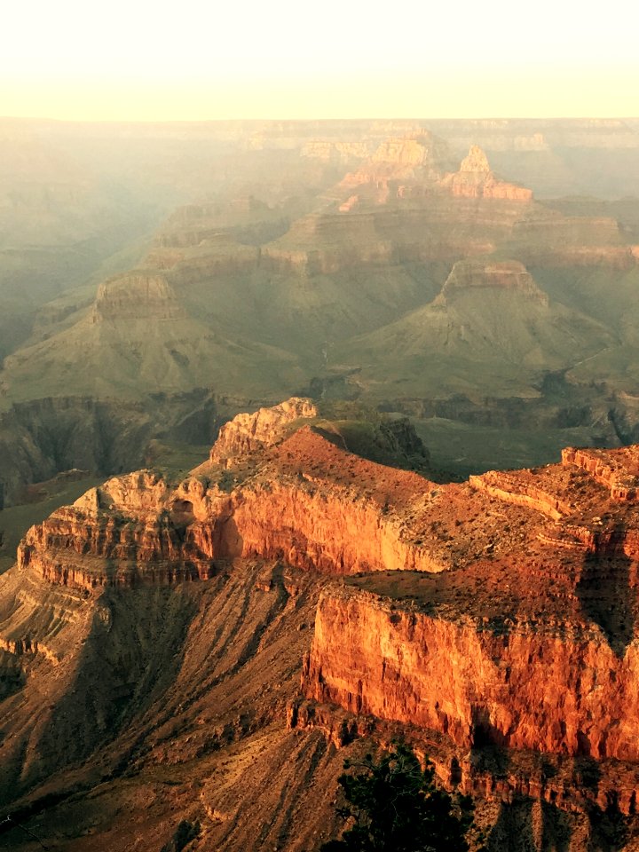 Rim trail, Canyon village, Az 86023