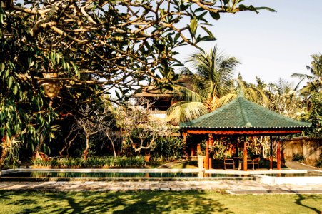 brown gazebo beside swimming pool surrounded with trees during daytime