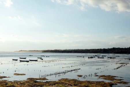 Calm, Sea, Flat