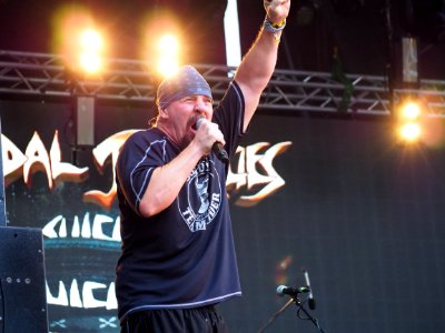 Metal, Crossover, Thrash