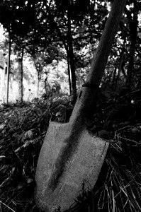Black, Blackwhite, Garden