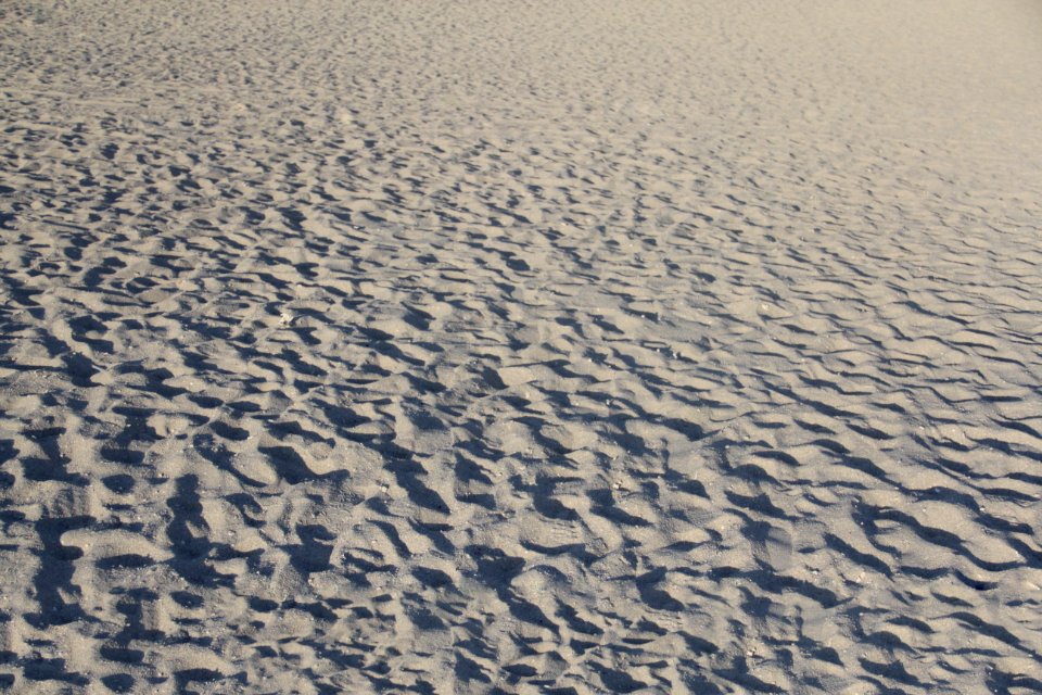 Miami, United states, Desert