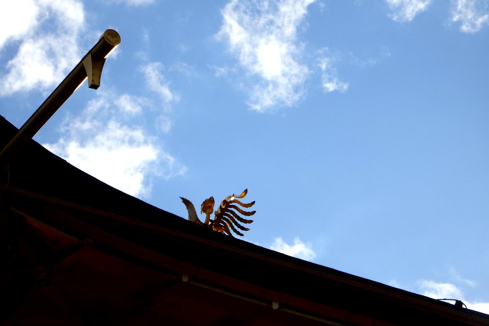 Japan, Kinkaku ji, Ky to shi