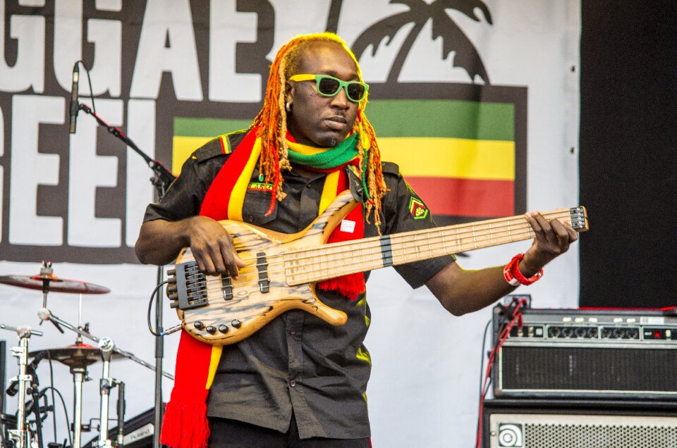 Reggae musician concert