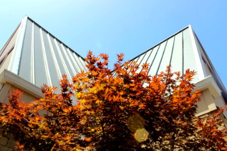 South carolina, North greenville university, United states