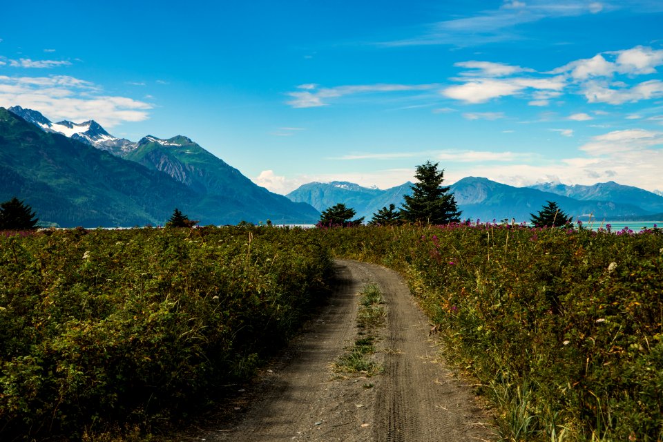 Haines, United states, Coastal