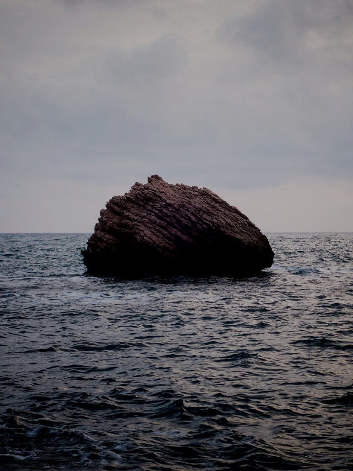 brown boulder on water