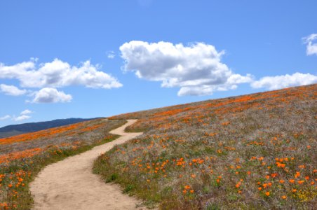 Antelope valley, Lancaster, United states