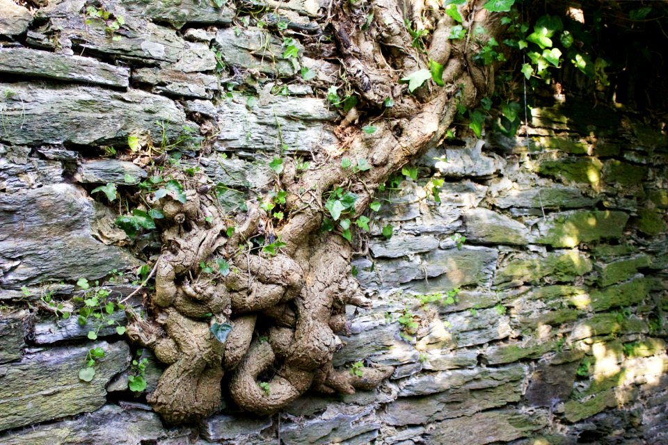 Knot, Knots, Persistence