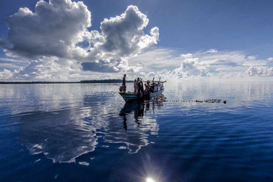 Fish catching indonesia halmahera