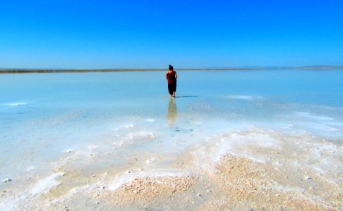 Turkey, Lake tuz, Alone photo