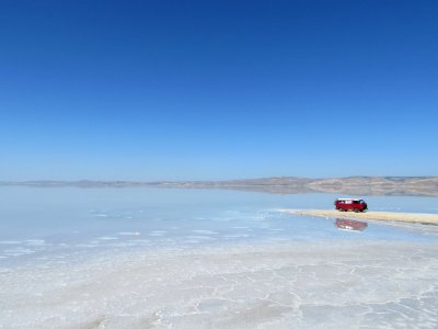 red and white van near sea under blue sky photo