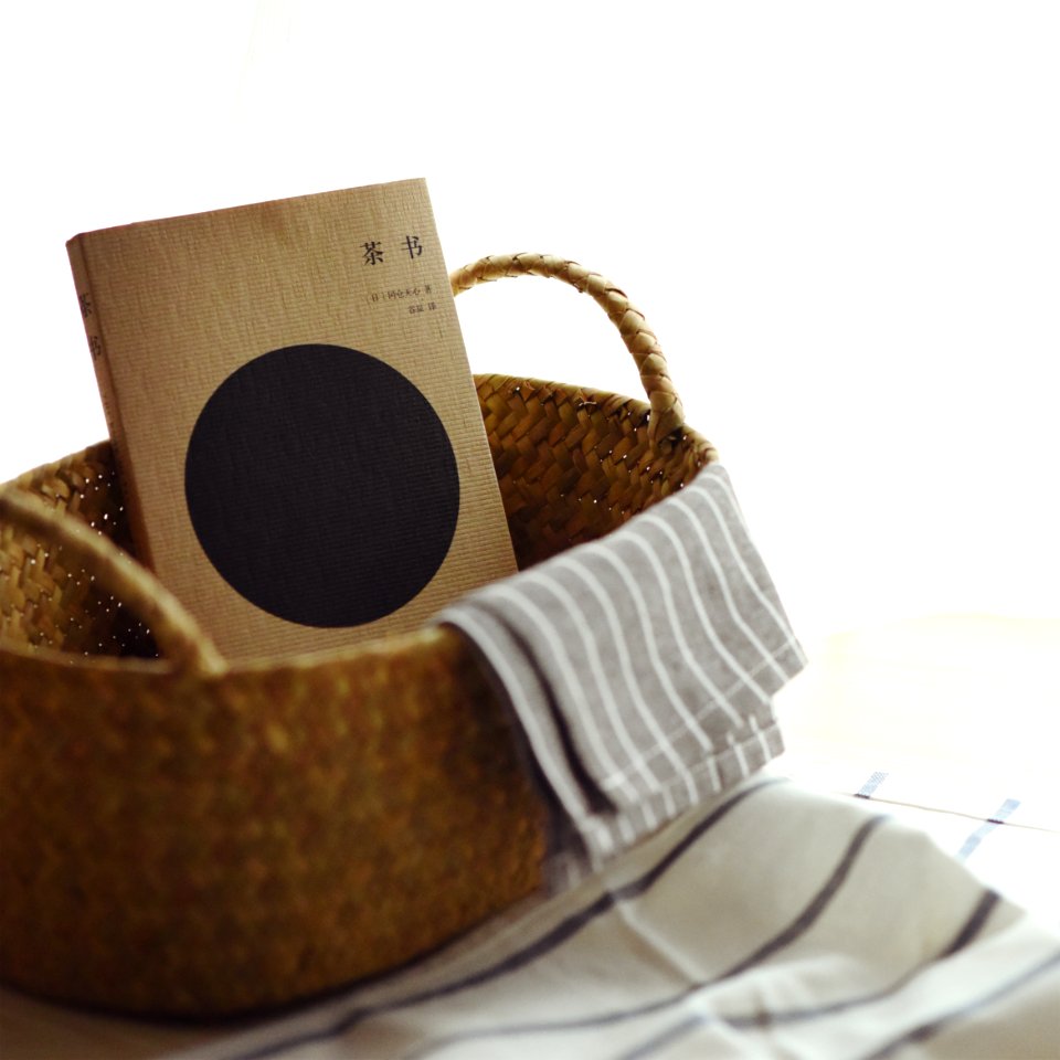 book inside brown wicker basket